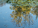 Alter Botanischer Garten Marburg Herbst 2014