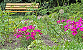 Alter Botanischer Garten Marburg Juni 2014