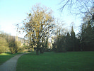 Alter Botanischer Garten Marburg