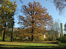Alter Botanischer Garten Marburg